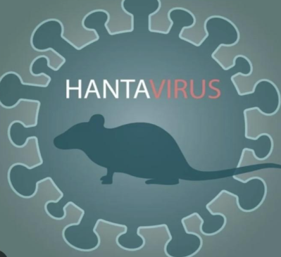 Ilustrasi grafis siluet tikus di dalam struktur virus yang merepresentasikan Hantavirus sebagai penyakit zoonosis