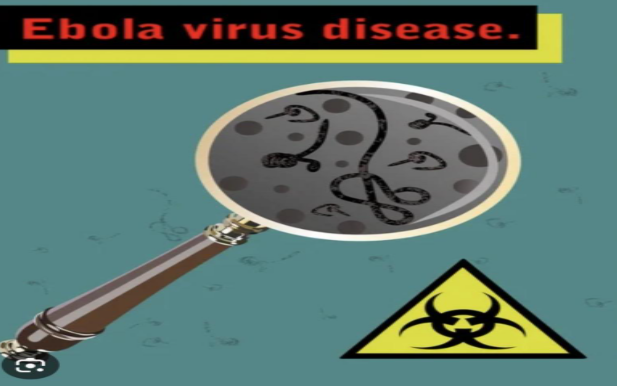 Ilustrasi wabah Ebola 2026 dan kebijakan karantina Kemenkes RI